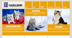 Desktop Screenshot of bluecrestcattery.org